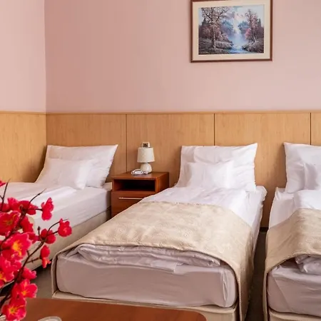 D-hotel Hotell Gyula