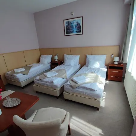 Hotel D-hotel 3*